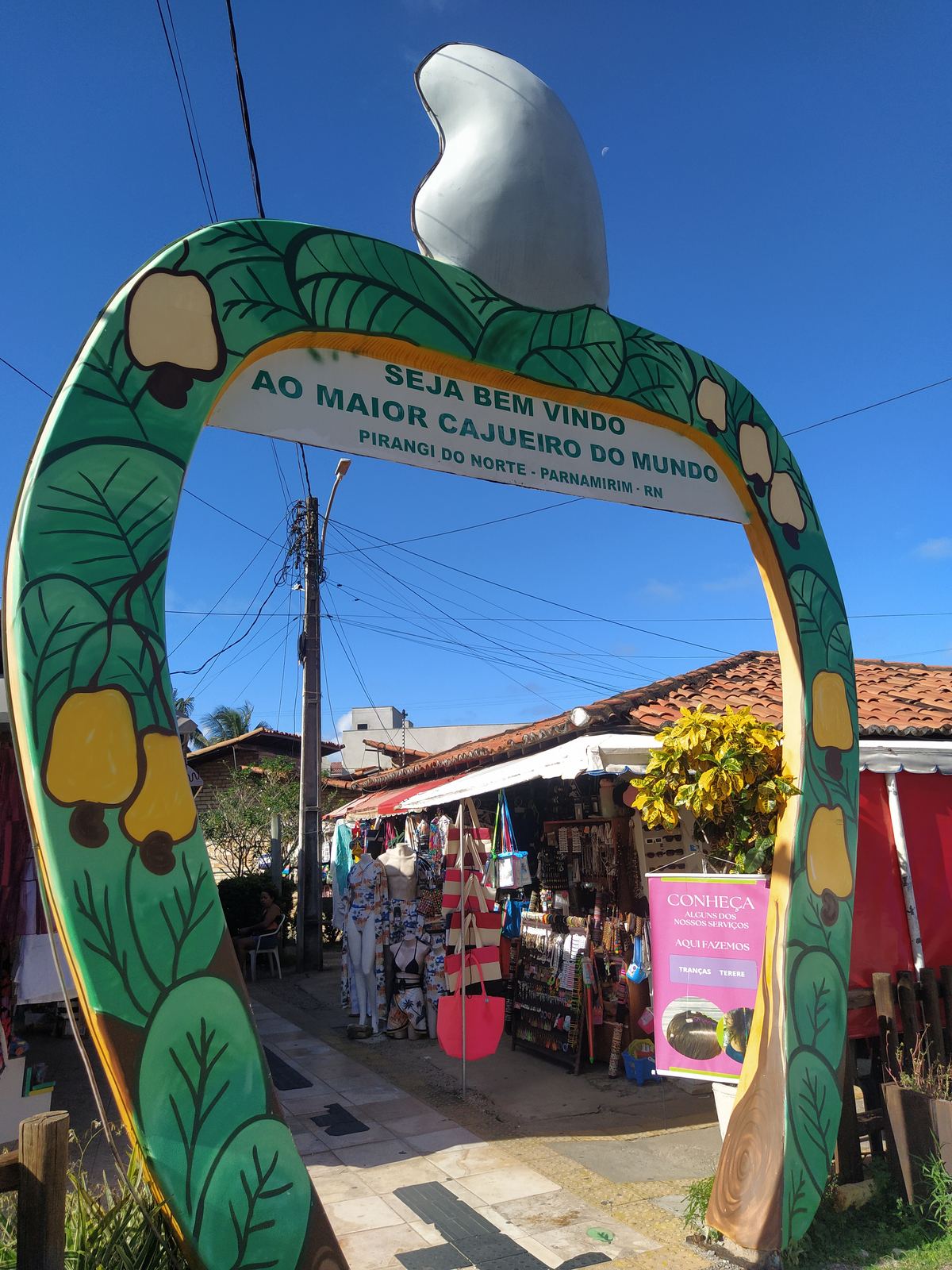 O maior cajueiro do mundo. Algumas coisas só fazem sentido quando você está dentro.